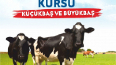 Büyükşehir Belediyesinden Kurban Kesim Kursu